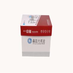 蓝光印象 A5 80g 复印纸 500张/包 10包/箱(单位:箱)