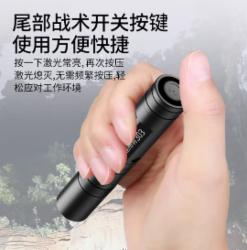 惠斯特 303激光笔