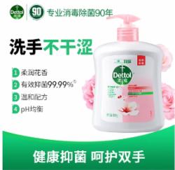 滴露洗手液500g/支