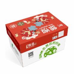 锦语 70克 A3 复印纸 500张/包 5包/箱（纯白）