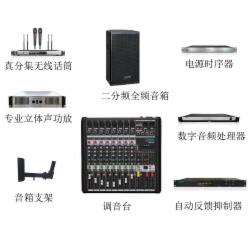 迪士普 会议音响D6564（含音箱/功放/音频处理器/调音台/反馈抑制器/无线会议话筒/无线手持话筒/线材辅件/安装调试/1年质保）×单位：套