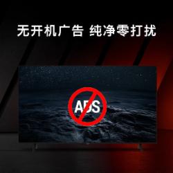  创维（Skyworth）65英寸电视机 65BC20E