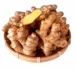 云南小黄姜 500g 净重1斤